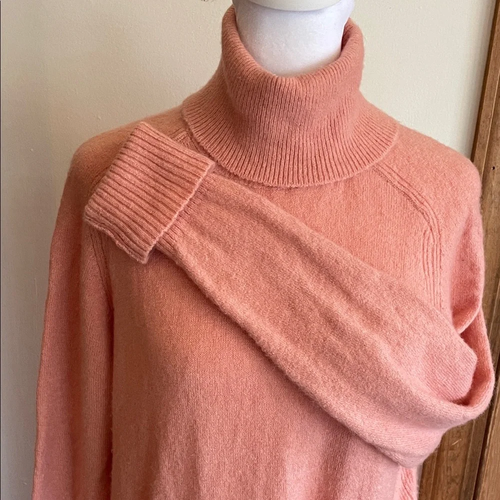 J. Crew chic turtleneck